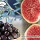 7 Zeytin 1 İncir Diyeti Nasıl Yapılır, How to Make 7 Olives 1 Fig Diet