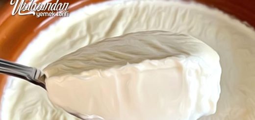 Yoğurt nasıl mayalanır, homemade yogurt recipe